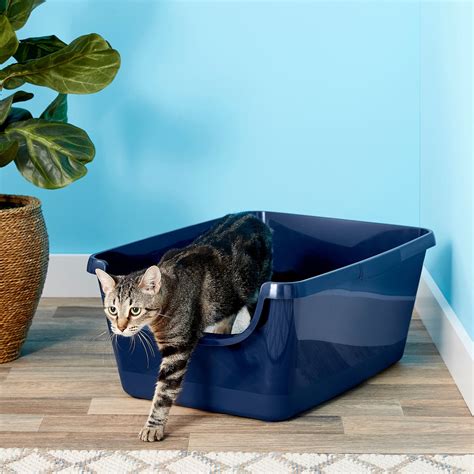 Frisco High Sided Cat Litter Box Extra Large 24 In Free Shipping Chewy