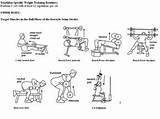 Weight Bench Exercise Routines Photos