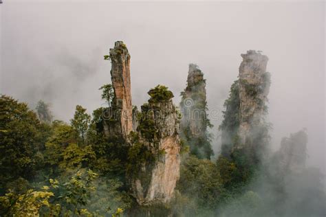 Foggy Day In National Park Zhangjiajie In China Stock Image Image Of