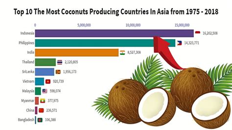 coconuts the philippines most versatile resource
