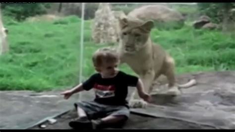 Kids At The Zoo Youtube