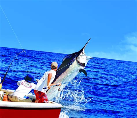 Panamá Principal Destino De Pesca Deportiva A Nivel Mundial