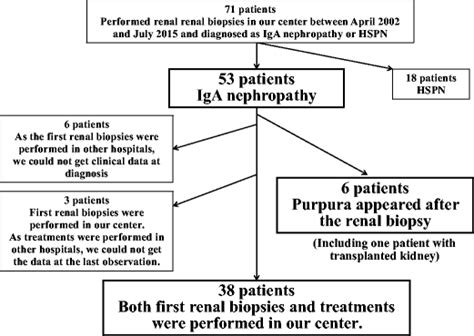 Evolution Of Iga Nephropathy Into Anaphylactoid Purpura In Six Cases