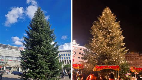 Traum Tanne Gesucht Welche Stadt Hat Den Schönsten Weihnachtsbaum