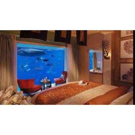 Awesome Aquarium Bedroom Underwater Hotel Underwater Hotel Room Underwater Bedroom