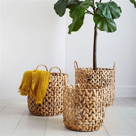 Fiddle leaf figs are slow growers indoors, which is why prospective buyers often stroke out when they glance at the price tag at the garden center. Faux Fiddle Leaf Fig Plant | west elm Australia