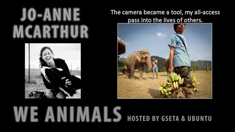 We Animals By Jo Anne Mcarthur Part 1 Of 5 Youtube