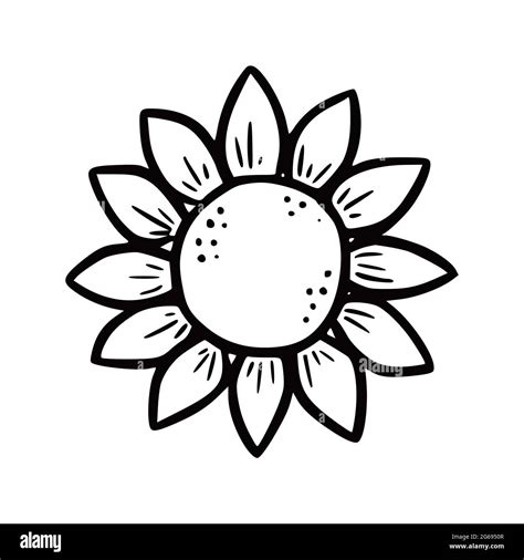 Hand Drawn Garden Sunflower Doodle Sketch Style Drawing Line Simple