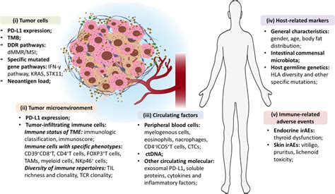 An Overview Of Predictive Biomarkers For Immune Checkpoint Inhibitors