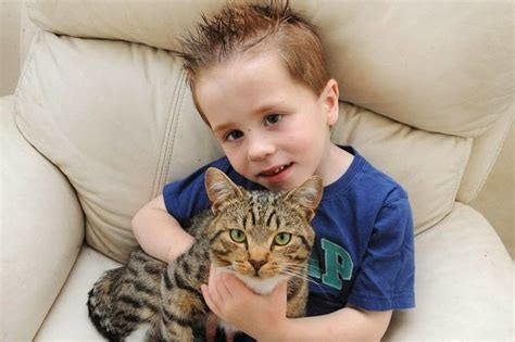 Hero Cat Saves Boy From Dog Attack In Amazing Candid Video Cotes Animaux