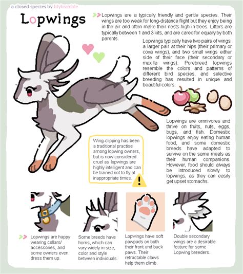 L O P W I N G S Closed Species Guide By Lilybramble On Deviantart