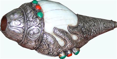 Check spelling or type a new query. Conch Shell Horn | Conch shell, Conch, Horns