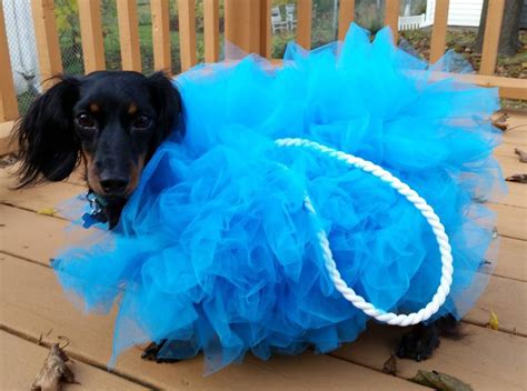 25 Entzückende Diy Hundekostüme Für Halloween Diy Entzückende Für