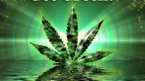 We did not find results for: Weed Skull Wallpapers on WallpaperDog