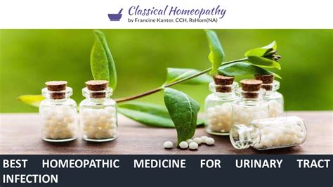 Ppt Best Homeopathic Medicine For Urinary Tract Infection Powerpoint