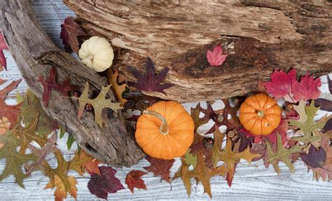 Rustic Autumn Seasonal Background Stock Image Image Of Vintage