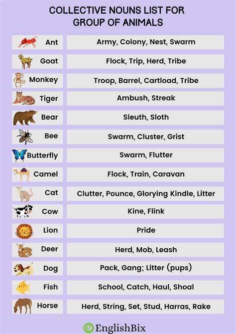 Collective Nouns List For Group Of Animals Englishbix