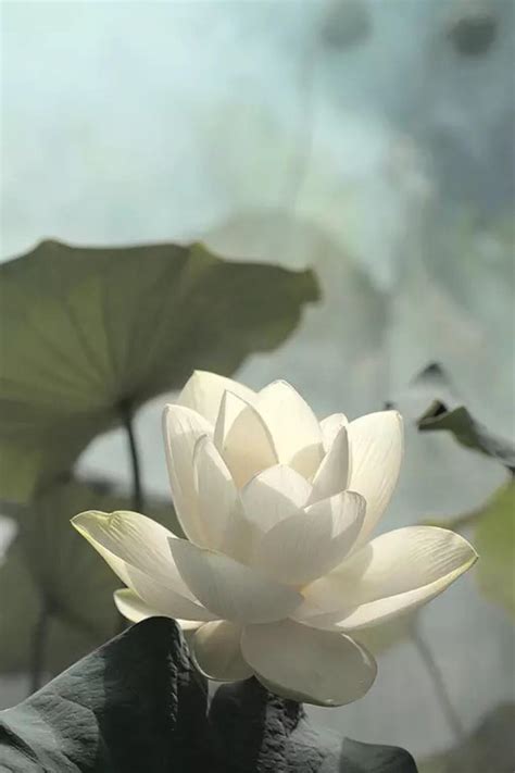 看theync有感 - 哔哩哔哩