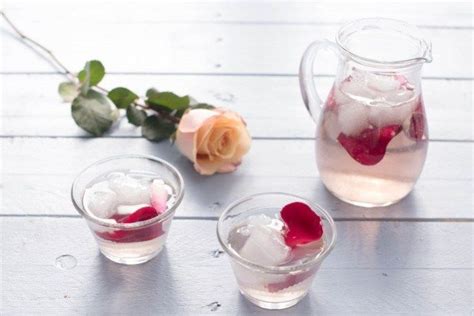 We did not find results for: Rose Water Recipe | The Fresh Times | Water recipes, Rose ...