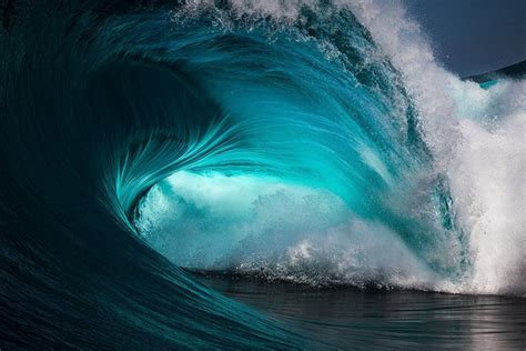 The 50 Most Amazing Photos And Videos Of The Oceans