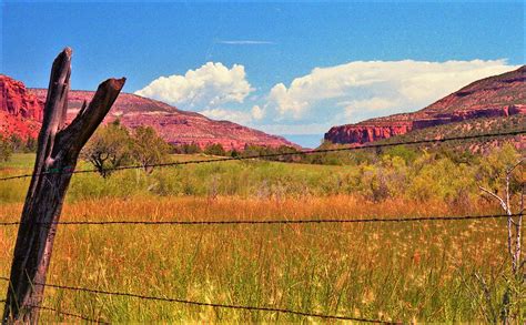 Escalante Canyon Delta County Co August 3 1986 Canon Ae1 Flickr