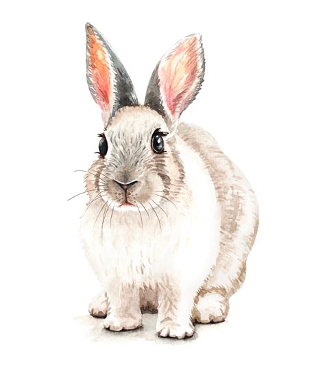 Portrait Of Rabbit Watercolor Hand Drawn Illustration 669926 Vector Art