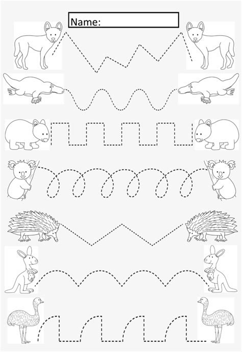 Australian Animals Tracing Lines Activity For Early Australian Animal