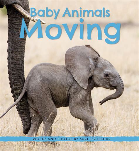 Baby Animals Moving Owlkids
