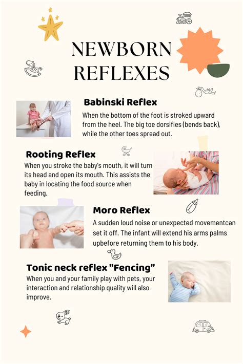 Understanding Newborn Reflexes What You Need To Know Nursing