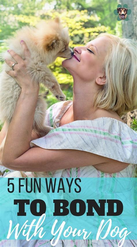5 Fun Activities To Bond With Your Dog Dog Training Tips Dog Care