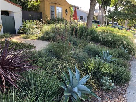 Lovely Mixture Of Native And Non Native Drought Tolerant Plants Agave