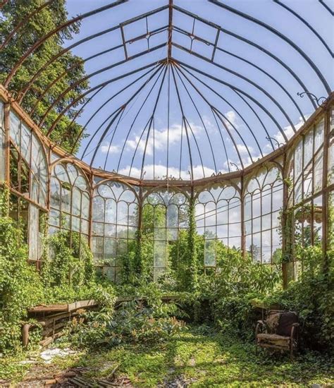 An Abandoned Greenhouse With Lots Of Plants Growing Inside