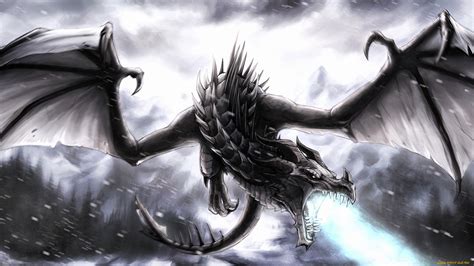 Black Dragon Full Hd Wallpaper And Background Image 1920x1080 Id