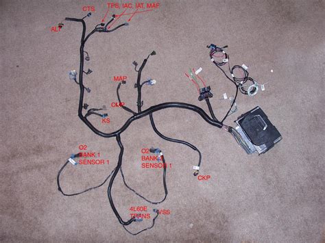 wiring diagram  ls swap
