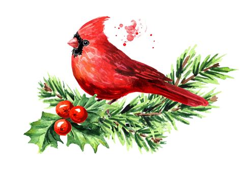 7 Popular Songbirds That Decorate The Holidays Farmers Almanac