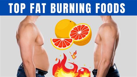 15 Top Fat Burning Foods Foods That Burn Fat Fast