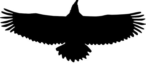 Eagle In Flight Silhouette At Getdrawings Free Download