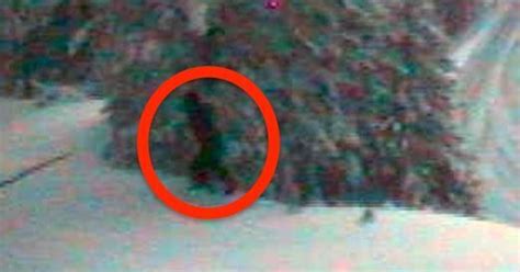Sasquatch Sighting Dot Says Traffic Cam Caught A Bigfoot Maybe