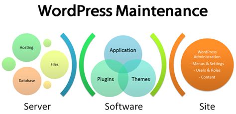 Wordpress Maintenance Process