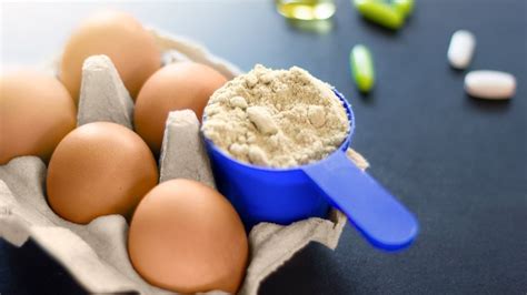 5 Best Egg Protein Powders Aug 2021 Bestreviews
