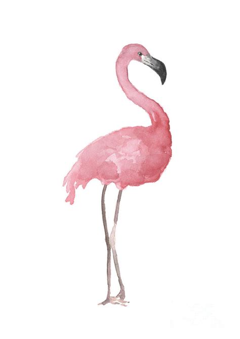 Pink Flamingo Art Print Pink Flamingo Paintings Pink Flamingo