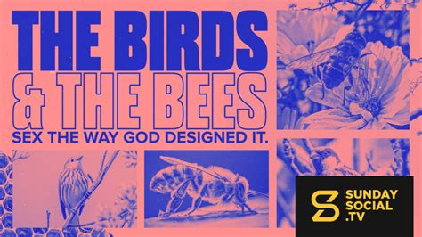 The Birds And The Bees Sex The Way God Designed It Sunday Social