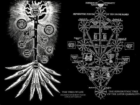 Qabalistic Tree Of Life Artistic Occult Rendition Qabalah Cabala