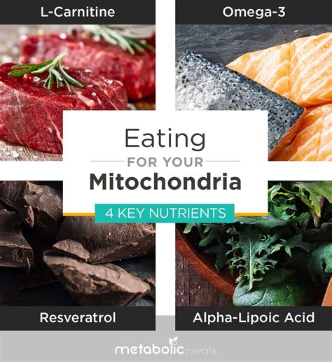 10 Ways To Boost Your Mitochondria Metabolic Meals Blog
