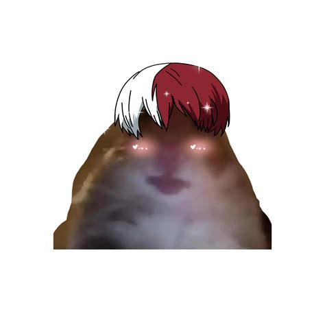 Hamster Meme Todoroki Mha Art Sticker By Ihavereturned