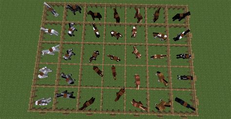 Horse Breeding Minecraft Chart