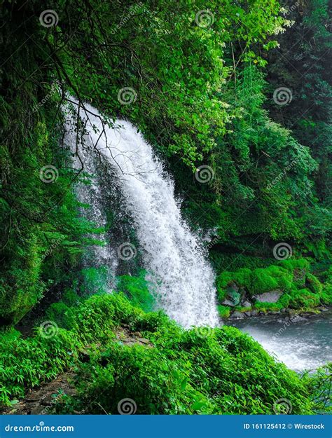 Vertical Shot Of A Beautiful Waterfall Flowing Into A River In A Green