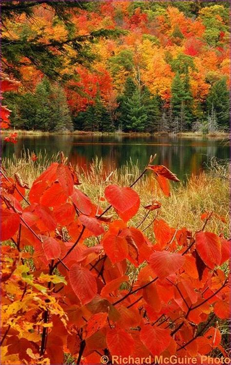 Top 20 Beautiful Nature And Places In Canada