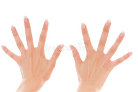 Duas Mãos Das Mulheres Com Propagação Dos Dedos Foto De Stock Imagem De Fundo Jogar 21419188