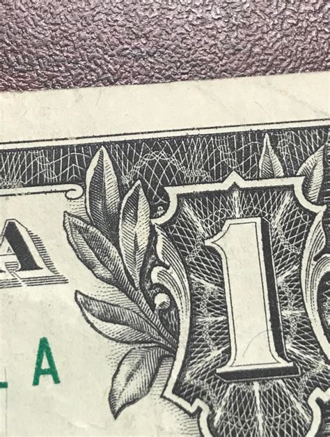 Finding Out There Was A Spider Hidden On The 1 Dollar Bill Rnostalgia